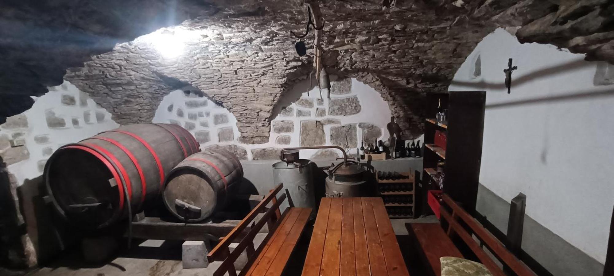 Homestead - Domacija - Nabergoj Podnanos Buitenkant foto