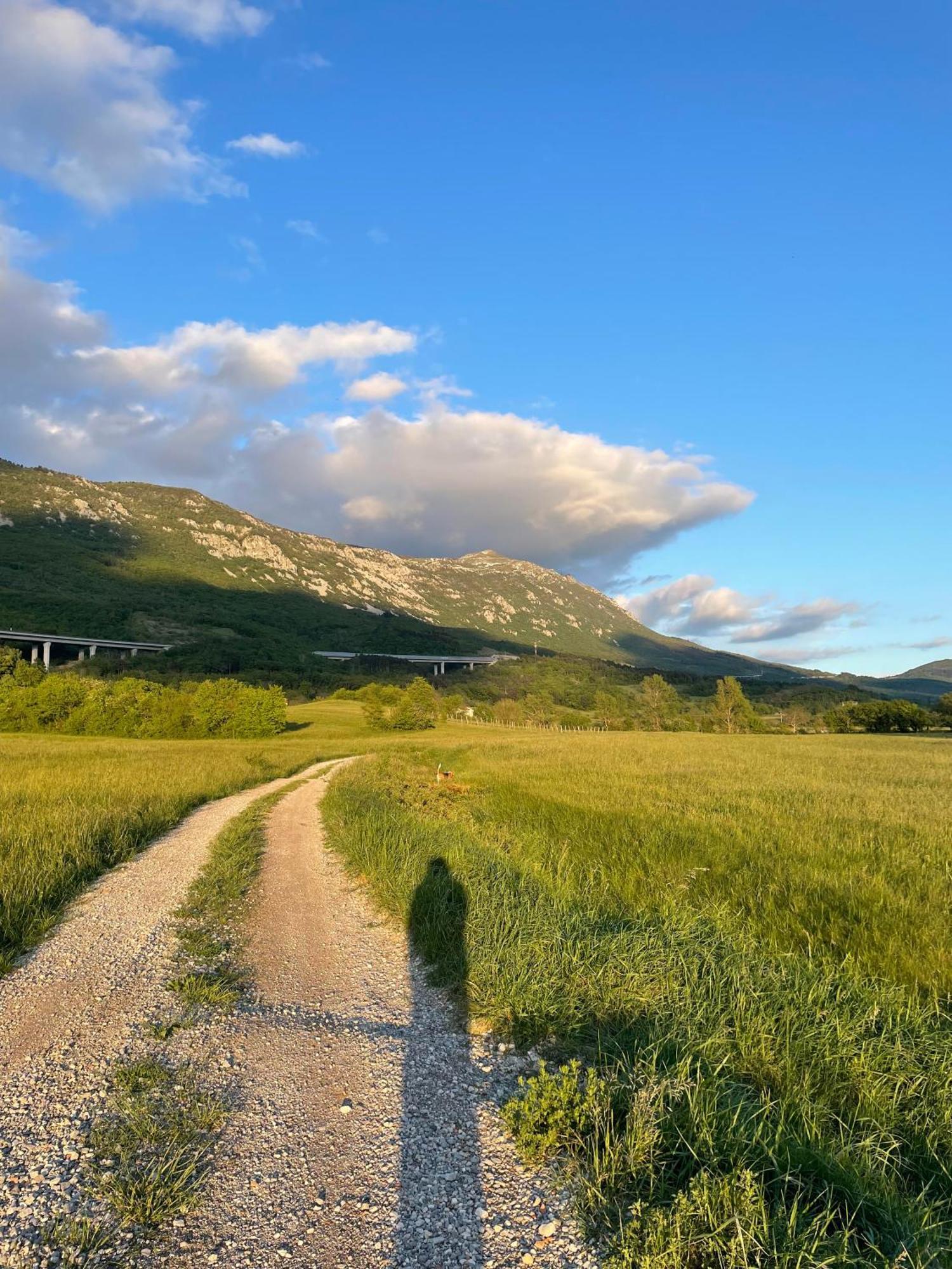 Homestead - Domacija - Nabergoj Podnanos Buitenkant foto