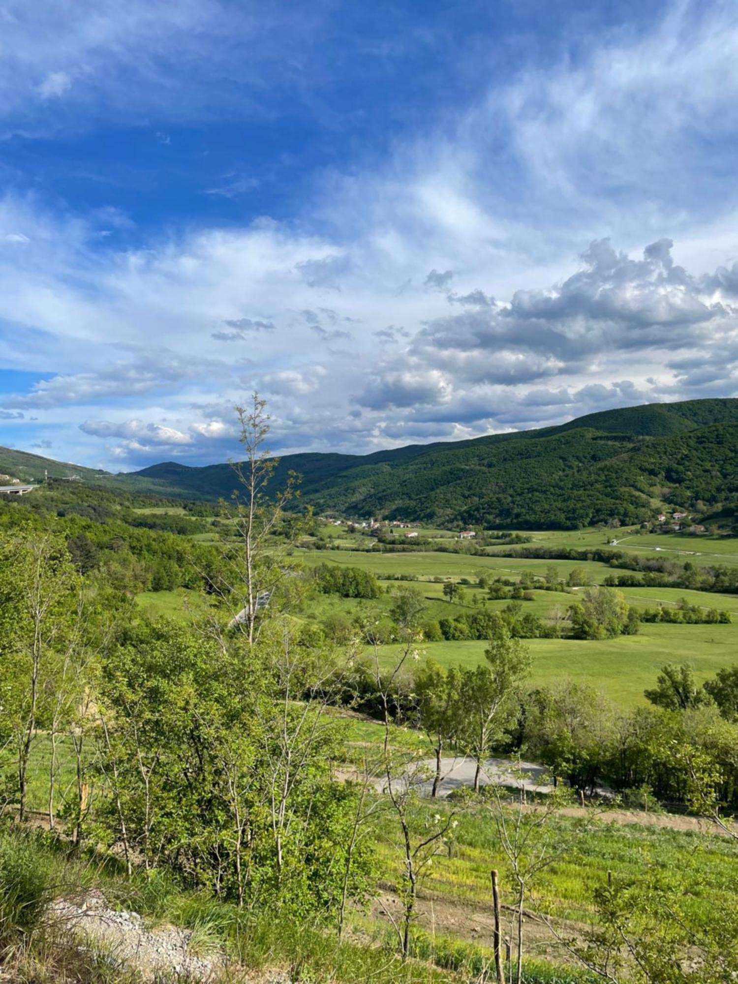 Homestead - Domacija - Nabergoj Podnanos Buitenkant foto